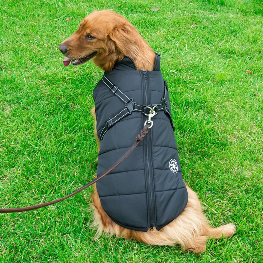 WarmPaw | Wasserdichte Winterjacke für Hunde mit integriertem Geschirr