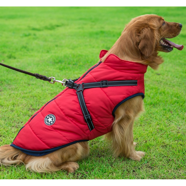 WarmPaw | Wasserdichte Winterjacke für Hunde mit integriertem Geschirr