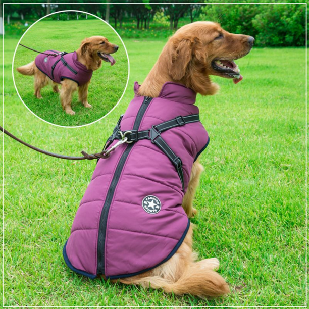 WarmPaw | Wasserdichte Winterjacke für Hunde mit integriertem Geschirr