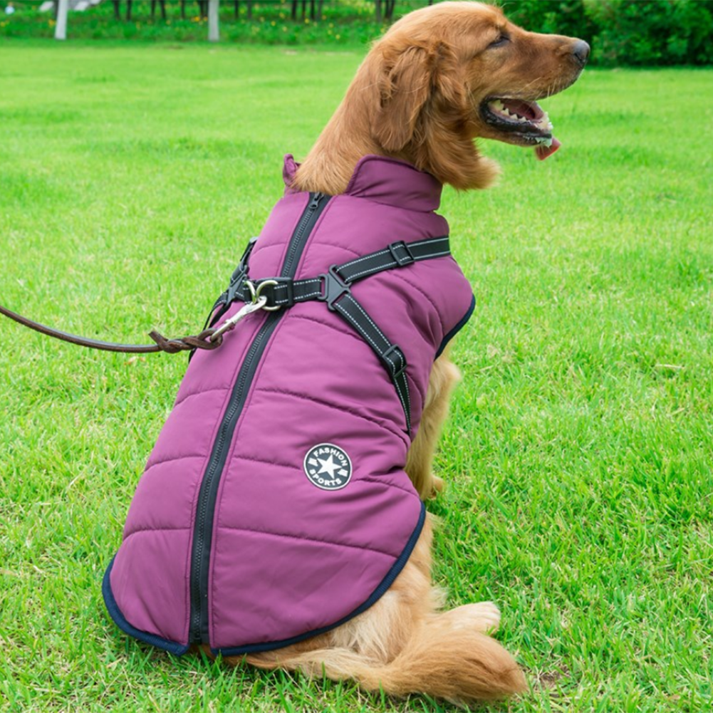 WarmPaw | Wasserdichte Winterjacke für Hunde mit integriertem Geschirr