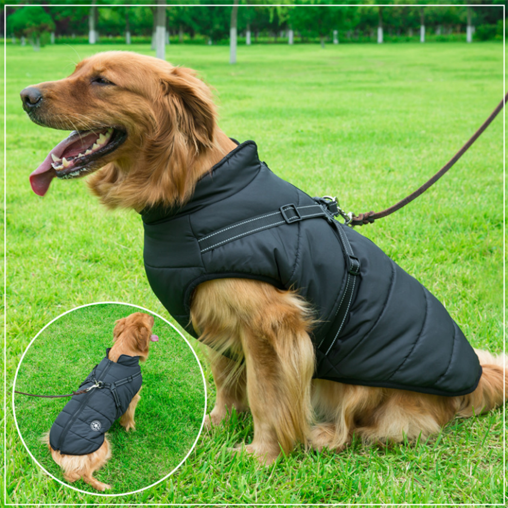 WarmPaw | Wasserdichte Winterjacke für Hunde mit integriertem Geschirr