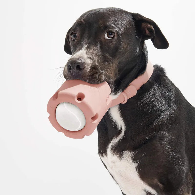Rufus | Intelligenter Leckerli-Trommelball für Hunde