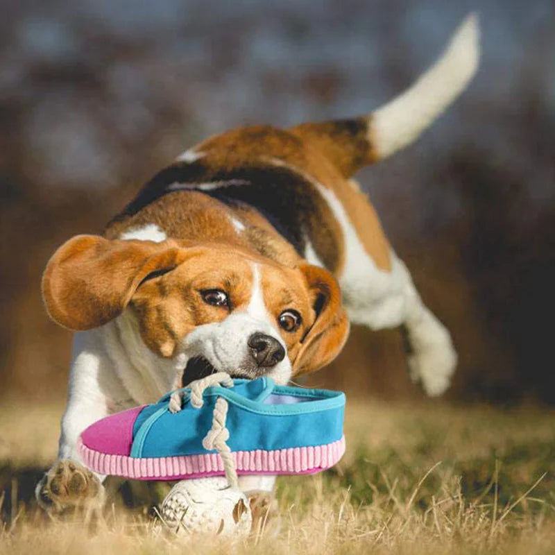 Barko | Interaktives Hundespielzeug in Sneaker-Form zum Kauen & Spielen