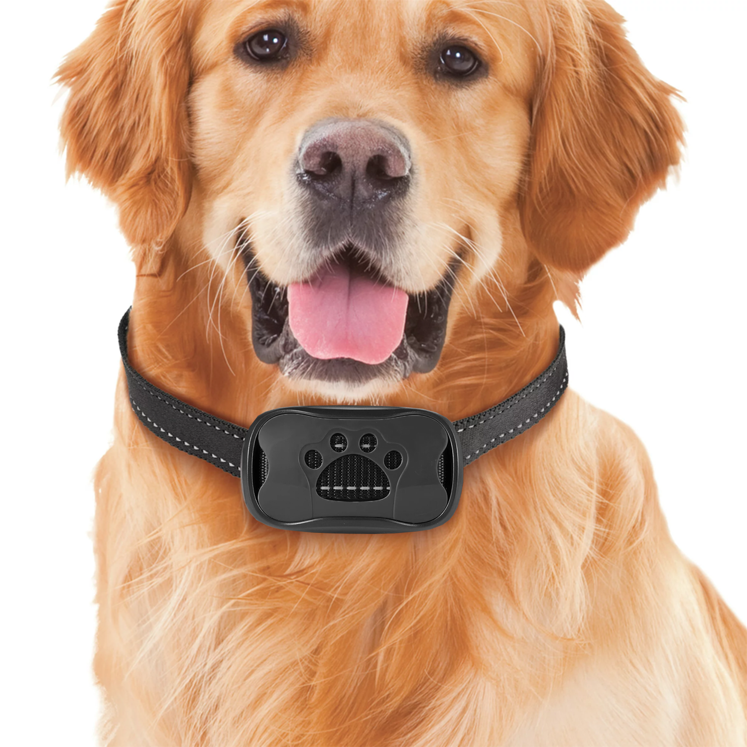 Lukas | Sanftes Anti-Bell Halsband ohne Schocks