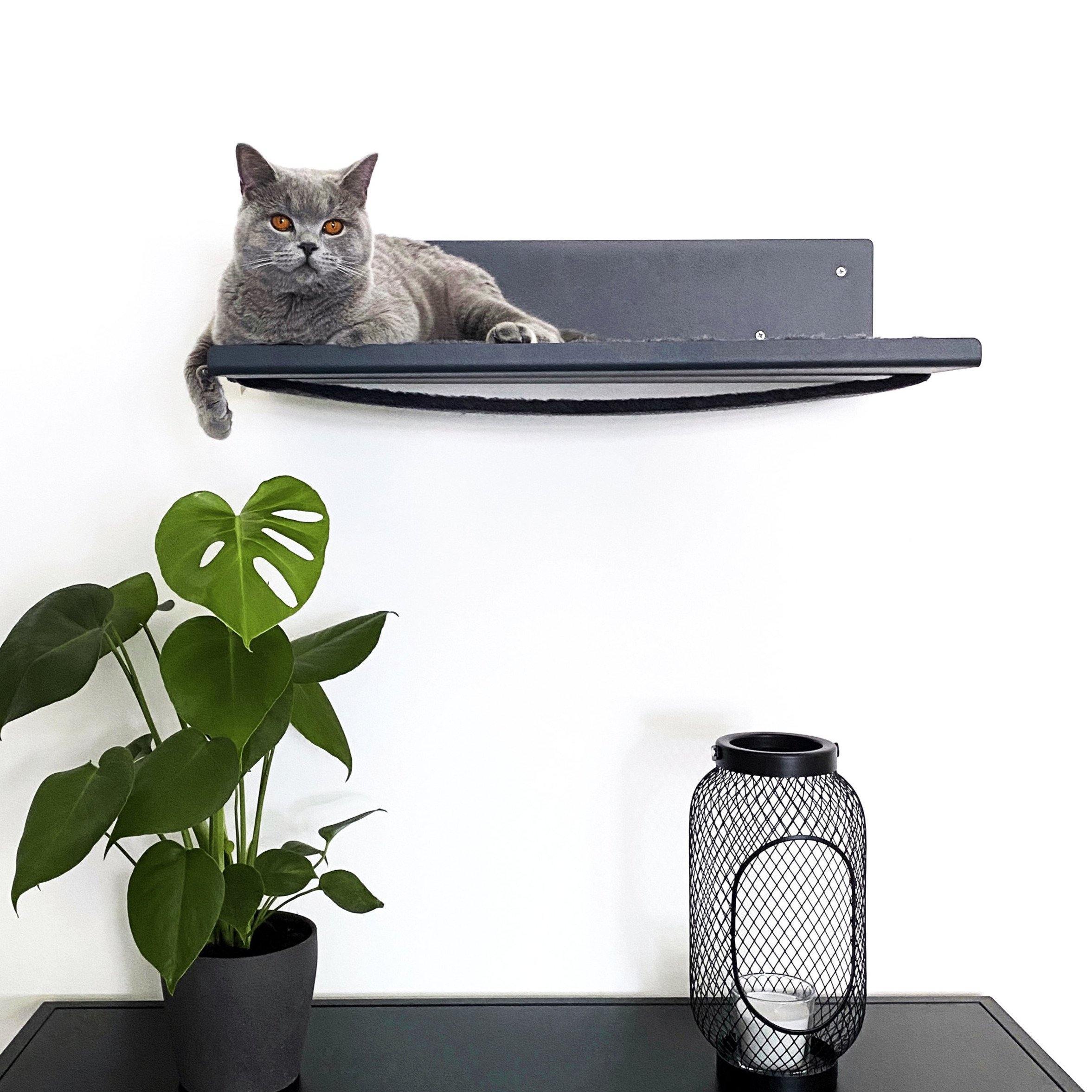 sicheres Katzen Wandbett stabil