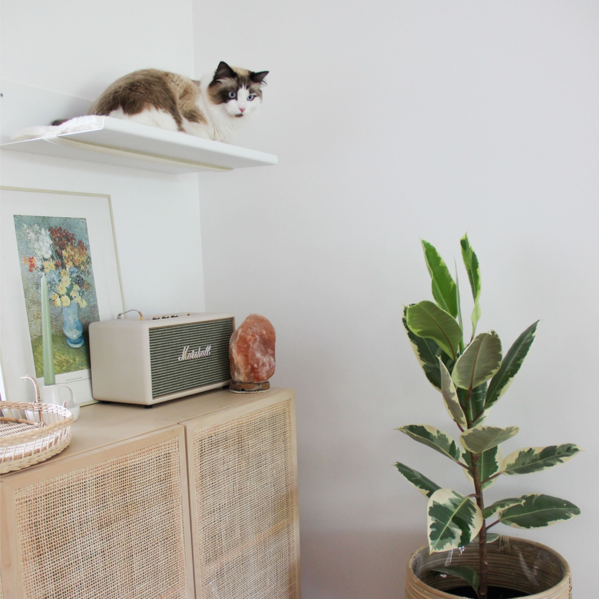 Hochsteg | Gerade Wandliege für Katzen