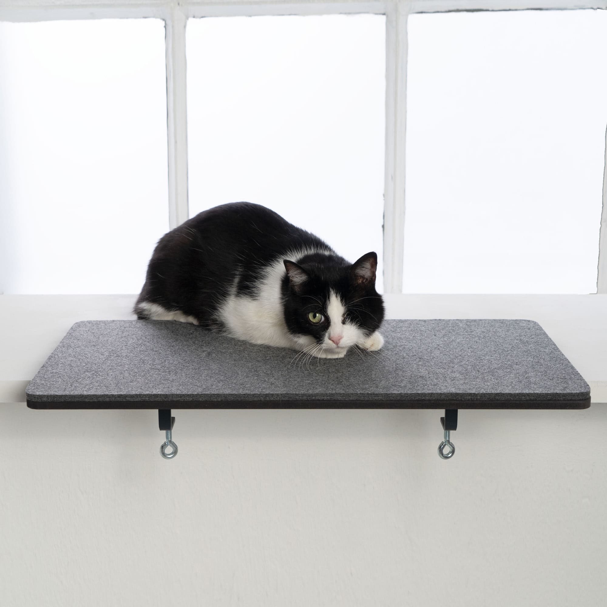 FeliView | Fensterbankliege für Katzen mit Kuschelauflage