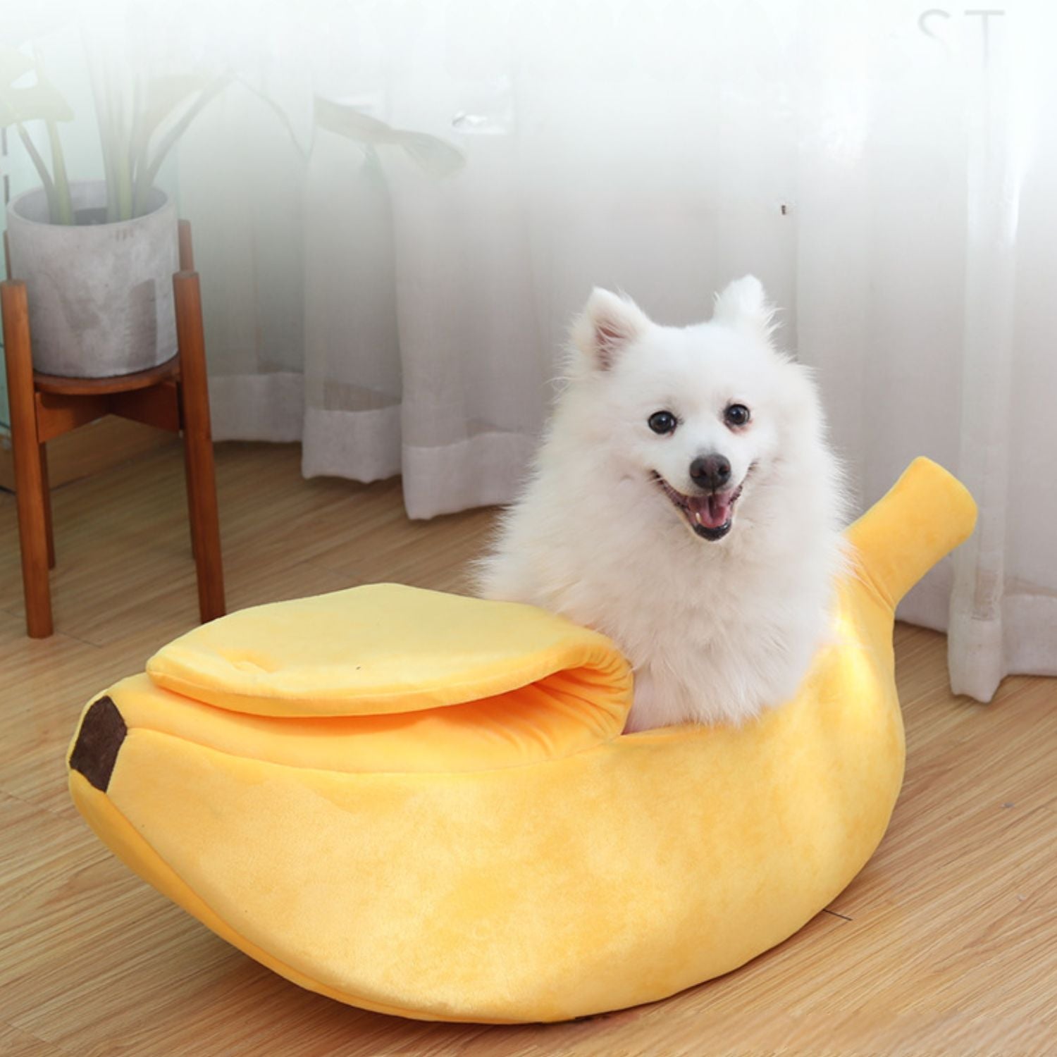 Banaan Honden en KattenmandKat in een banaanvormig bed in de zon